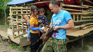 Building a Wooden House for Goats Goat Barn 2024  find love for pigs gardening  Ly Thi Ngoan [upl. by Sheilah]