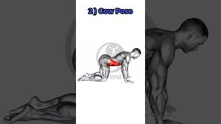 Exercises for a BAD BACK 1 [upl. by Alodee]