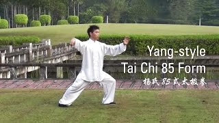 YangStyle Tai Chi 85 Form  Part 1 杨氏85式太极拳 [upl. by Reviel583]