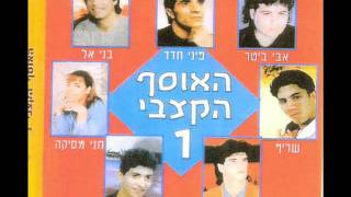 פיני חדד את לא לבד Pini Hadad [upl. by Schurman]