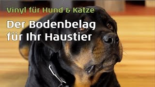 Vinylboden für Hunde amp Katzen von parkettwohnweltde [upl. by Di166]