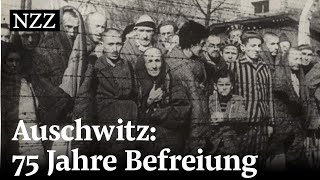 Eine Erinnerung an fünf Jahre Massenmord in Auschwitz [upl. by Barbara691]