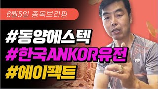 6월5일 종목브리핑한국ANKOR유전에이팩트동양에스텍키다리스튜디오5수익실현한국ANKOR유전에이팩트동양에스티종목추천 [upl. by Rodavlas]