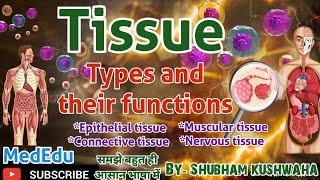 Tissue Types and their functions  EpithelialConnectiveMuscularNervous tissueHAP [upl. by Tymon]