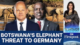 Botswana Threatens to Send 20000 Elephants to Germany  Vantage with Palki Sharma [upl. by Huebner344]