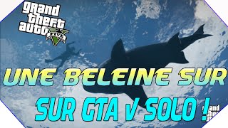 Infos Une Baleine sur GTA V Next Gen  Incroyable  GTA V Next Gen Gameplay [upl. by Jovitah119]