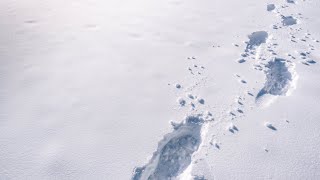 Excitement is building for ski season at Mt Buller [upl. by Zehc]