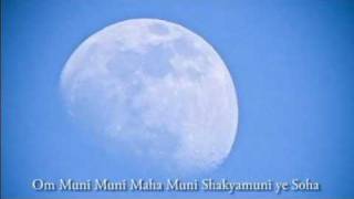 Om Muni Muni Maha Muni Shakyamuni ye Soha [upl. by Airdnas]