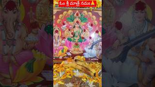 ఓం శ్రీ మాత్రే నమః🙏 karthikamasam 2024 lakshmipuja diwali2024 narenvlogs7394 [upl. by Naivad]