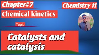 lec14 What Are Catalysts  Types of Catalysis  Chemistry 11 new book federal board 2024 nbf [upl. by Ahseiat]