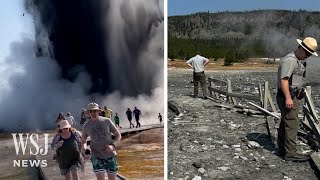 Watch Tourists Run From Hydrothermal Explosion in Yellowstone  WSJ News [upl. by Biernat]