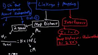 linkage and mapping conceptual and equations [upl. by Assetnoc]