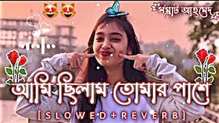 Ami Chilam Tomar Paseআমি ছিলাম তোমার পাশেSlowedReverb Osanto Mon Bojhai Kake Sorry Dipannita [upl. by Annaoi]