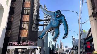 Walkthrough November 5th 2023 Universal Studios Hollywood Citywalk [upl. by Lodi]