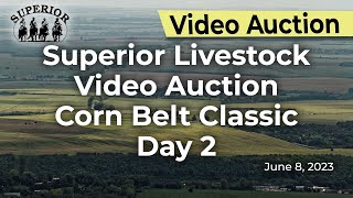 Superior Livestock Auction Corn Belt Classic Day 2 [upl. by Lanoil]