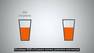 Les services SGS eCustoms en France [upl. by Esemaj]