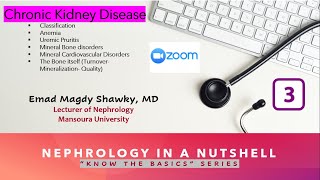 Chronic Kidney Disease Zoom Session Emad Magdy MD [upl. by Kuhlman918]