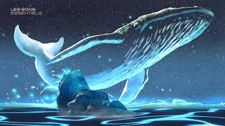 SLEEP in less than 15 minutes  Natural Whale and Dolphin Songs  relaxing music  Ocean [upl. by Slater190]