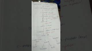 Shikimic acid pathway 5thsem bpharm bpharmpharmacy [upl. by Malory300]