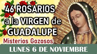 46 Rosarios a la Santísima Virgen de Guadalupe Misterios Gozosos Lunes 6 de Noviembre Dia 10 💖💖💖 [upl. by Vadim]