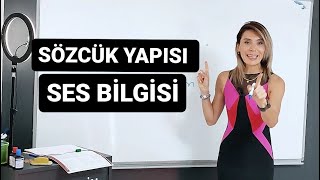 SÖZCÜK YAPISISES BİLGİSİ [upl. by Muscolo224]