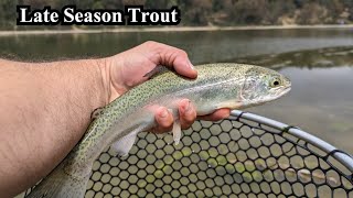 Late Season Trout Fishing  Yucaipa Regional Park Lake [upl. by Stalker]