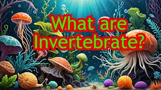 What are Invertebrates Learn animals in English [upl. by Chretien]