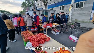 대구 여행 핫플 달성공원 새벽시장 반짝시장 번개시장 두부가 얼마나 맛있길래 두부 사는 줄이 이렇게 길다니 Daegu Dalseong Park Dawn Market [upl. by Pedaias]