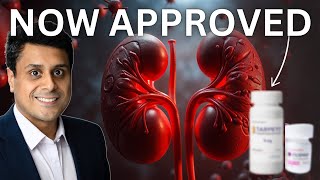 NEW TREATMENT for KIDNEY DISEASE  Hope for IgA Nephropathy nowapproved [upl. by Inahteb]