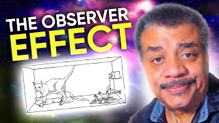 What is Schrödingers Cat  Neil deGrasse Tyson Explains [upl. by Asilak656]