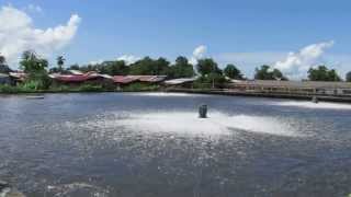 PLANTA DE TRATAMIENTO DE AGUAS NEGRAS Bocas del Toro Isla Colón Panamá [upl. by Edals277]