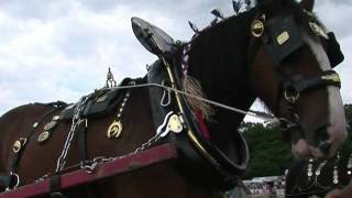 HEAVY HORSES AT NETLEY MARSH STEAM amp CRAFT SHOW JULY 2011 [upl. by Abroms]