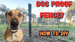 Build a Dog Proof Fence A Quality Dog Fence Step By Step [upl. by Doi]