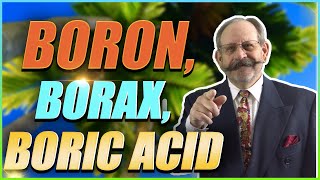 Boron and its derivatives Boric Acid amp Borax [upl. by Sokem]