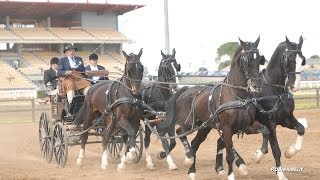 HIPICA CAMPEONATO DE ESPAÑA DE ENGANCHES 2013 [upl. by Eugene]