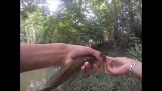 Pêche des carnassier sur le Loir  HD GoPro [upl. by Yerbua]