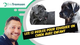 Les 12 règles pour éduquer et dresser son chien ou son chiot [upl. by Pember]