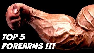 TOP 5 BIGGEST FOREARMS OF ALL TIME AND HOW THEY WERE BUILT [upl. by Atnim]