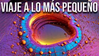 ¿Conoces la LONGITUD de PLANCK Descubre el secreto más profundo del UNIVERSO [upl. by Eyssej]