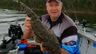 Awesome Flathead fishing Lake Macquarie NSW Australia [upl. by Noonberg]