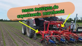 120hektarów marchewki ekologicznejjak wygląda pielenie maszynowe oraz ręczne [upl. by Nnazil944]