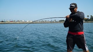 He Hooked Up Onto A Big One  Fishing Mission Bay [upl. by Munsey]