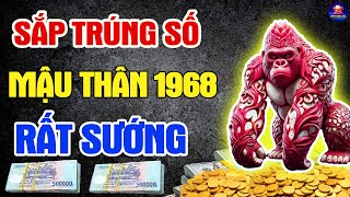 Top 5 Dấu Hiệu Chấn Động Tuổi MẬU THÂN 1968 Bất Ngờ Trúng ĐẬm Đổi Đời Giàu To Đúng 9 Ngày Tới [upl. by Loggins507]