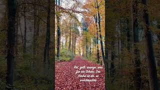 Herbst im Hardwald Kloten Video by Guido Scheerer [upl. by Lleneg837]