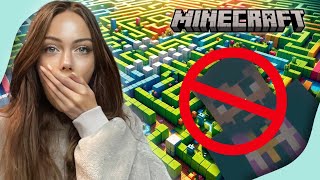 IK VERMOORDE DE PASTOOR IN MINECRAFT [upl. by Lac]