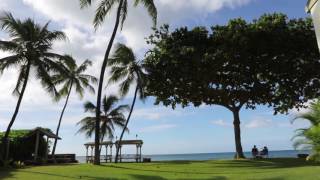 Haleiwa Surf Condo to Beach Walk [upl. by Boak47]