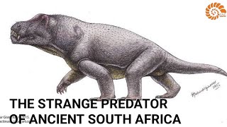 The Strange Predator of Ancient South Africa  Anteosaurus  Prehistoric Profile [upl. by Skier]