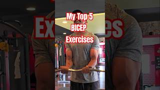 Top 5 BICEPS Exercises 🔥 💪 shorts [upl. by Haran]