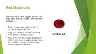 KS3 Biology  Specialised Cells [upl. by Asik]