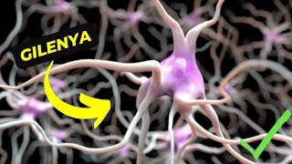 Gilenya What You Need to Know About Its Uses and Potential Side Effects [upl. by Eeliram]